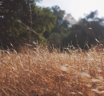 拉齐奥遭遇连败，球队状态堪忧